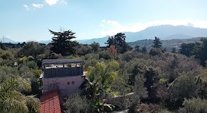 Villa Oreastro Holiday Home - Guest House place picture